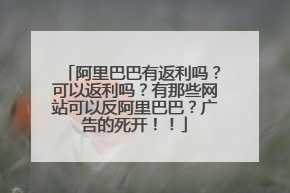 阿里巴巴有返利吗？可以返利吗？有那些网站可以反阿里巴巴？广告的死开！！