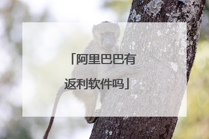 阿里巴巴有返利软件吗