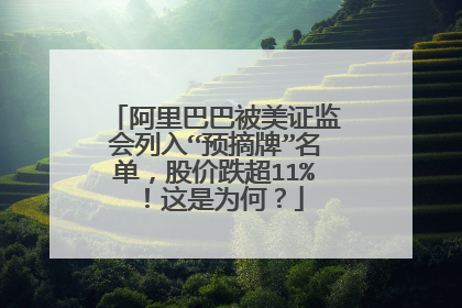 阿里巴巴被美证监会列入“预摘牌”名单，股价跌超11%！这是为何？