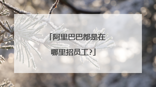 阿里巴巴都是在哪里招员工?