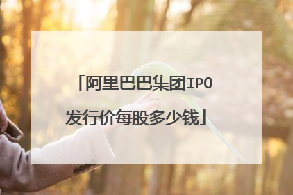 阿里巴巴集团IPO发行价每股多少钱