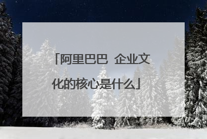 阿里巴巴 企业文化的核心是什么
