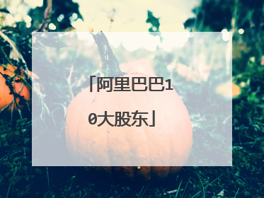 阿里巴巴10大股东
