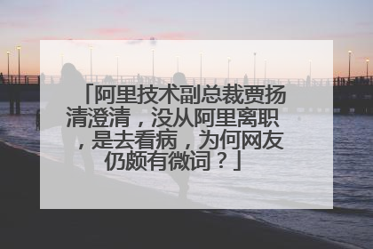 阿里技术副总裁贾扬清澄清,没从阿里离职,是去看病,为何网友仍颇有微词?