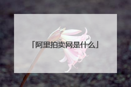 阿里拍卖网是什么