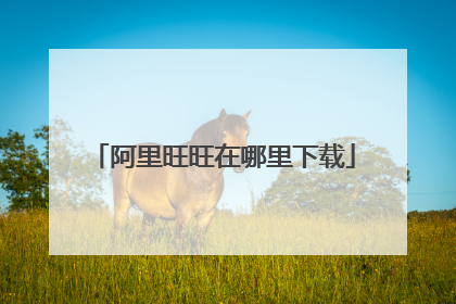 阿里旺旺在哪里下载