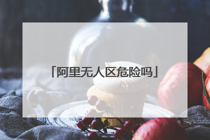 阿里无人区危险吗