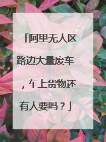 阿里无人区路边大量废车,车上货物还有人要吗?