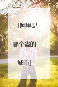 阿里是哪个省的城市