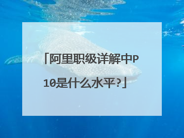 阿里职级详解中P10是什么水平?