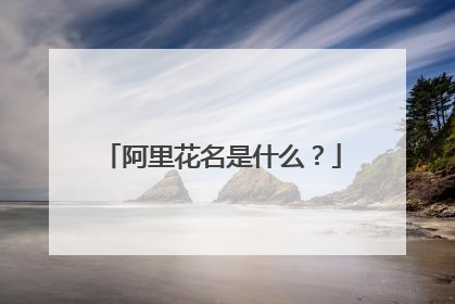 阿里花名是什么?