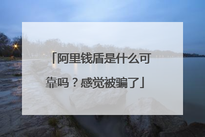 阿里钱盾是什么可靠吗？感觉被骗了