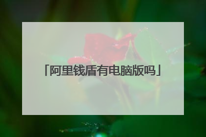 阿里钱盾有电脑版吗