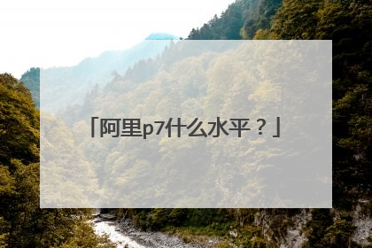阿里p7什么水平?