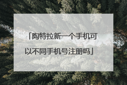陶特拉新一个手机可以不同手机号注册吗