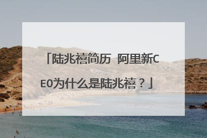 陆兆禧简历 阿里新CEO为什么是陆兆禧?