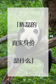 陈磊的真实身份是什么