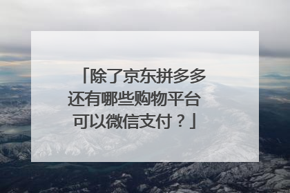 除了京东拼多多还有哪些购物平台可以微信支付?