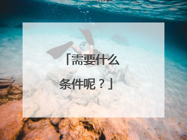 需要什么条件呢?