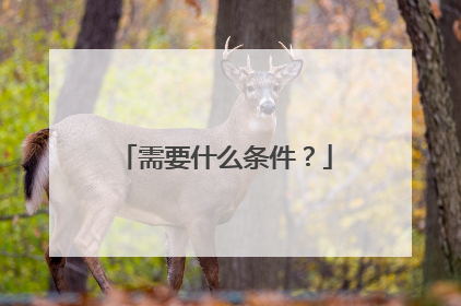 需要什么条件?