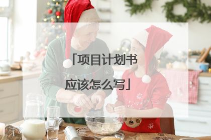 项目计划书应该怎么写