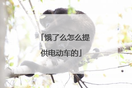 饿了么怎么提供电动车的