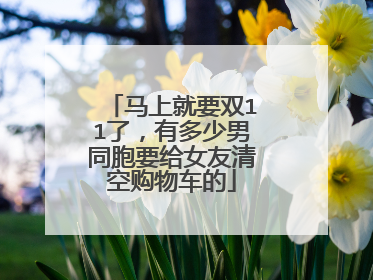 马上就要双11了,有多少男同胞要给女友清空购物车的