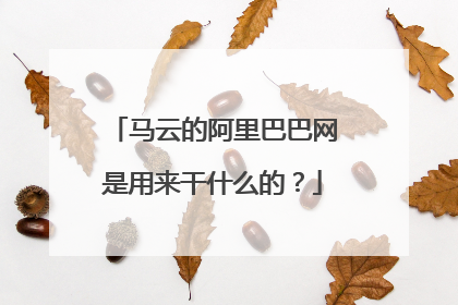 马云的阿里巴巴网是用来干什么的?