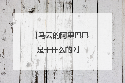 马云的阿里巴巴是干什么的?