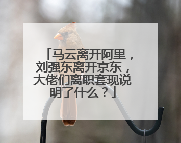 马云离开阿里,刘强东离开京东,大佬们离职套现说明了什么?