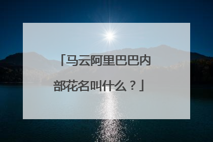 马云阿里巴巴内部花名叫什么?