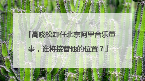 高晓松卸任北京阿里音乐董事,谁将接替他的位置?