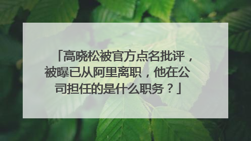 高晓松被官方点名批评,被曝已从阿里离职,他在公司担任的是什么职务?