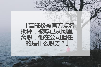 高晓松被官方点名批评,被曝已从阿里离职,他在公司担任的是什么职务?