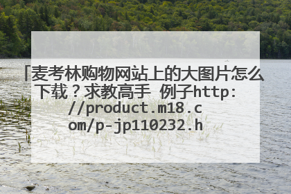 麦考林购物网站上的大图片怎么下载?求教高手 例子http://product.m18.com/p-jp110232.htm#picture