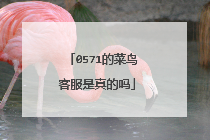 0571的菜鸟客服是真的吗