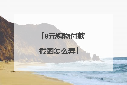 0元购物付款截图怎么弄