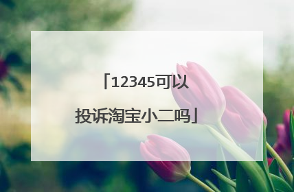 12345可以投诉淘宝小二吗