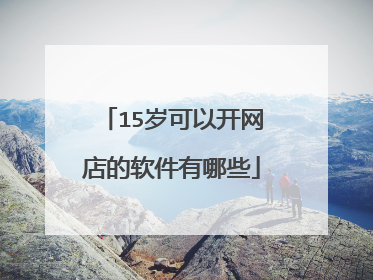 15岁可以开网店的软件有哪些