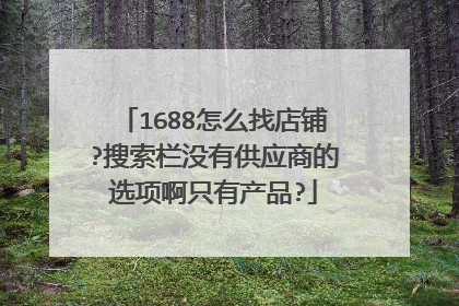 1688怎么找店铺?搜索栏没有供应商的选项啊只有产品?