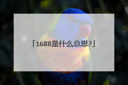 1688是什么意思?