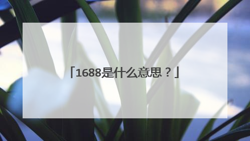 1688是什么意思?