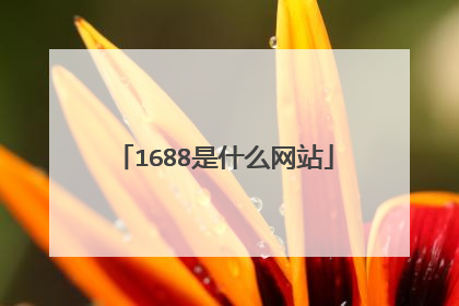 1688是什么网站