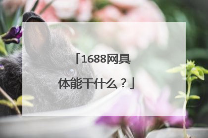 1688网具体能干什么?