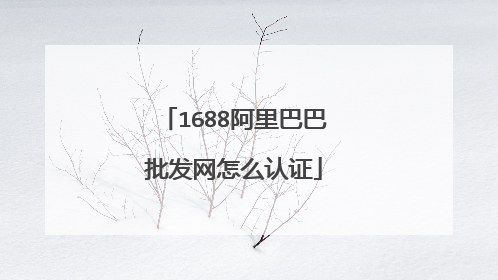 1688阿里巴巴批发网怎么认证