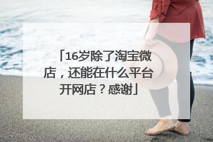 16岁除了淘宝微店,还能在什么平台开网店?感谢
