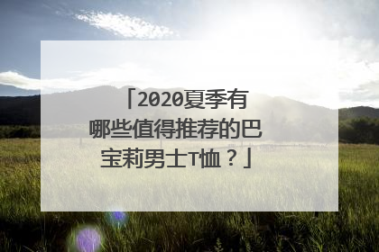 2020夏季有哪些值得推荐的巴宝莉男士T恤?