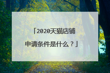 2020天猫店铺申请条件是什么?