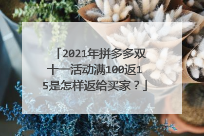 2021年拼多多双十一活动满100返15是怎样返给买家?