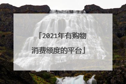 2021年有购物消费额度的平台